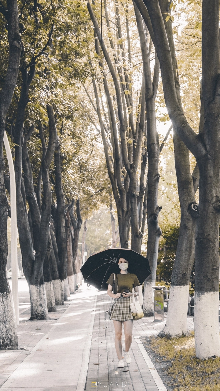 行走在绿荫道上🌂