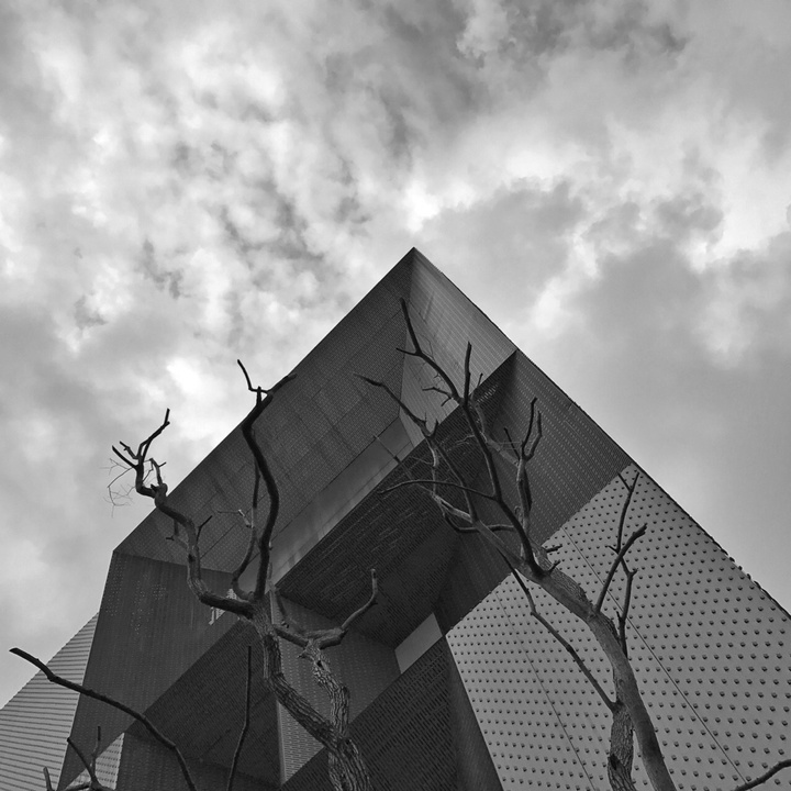 意识流#活跃摄影师