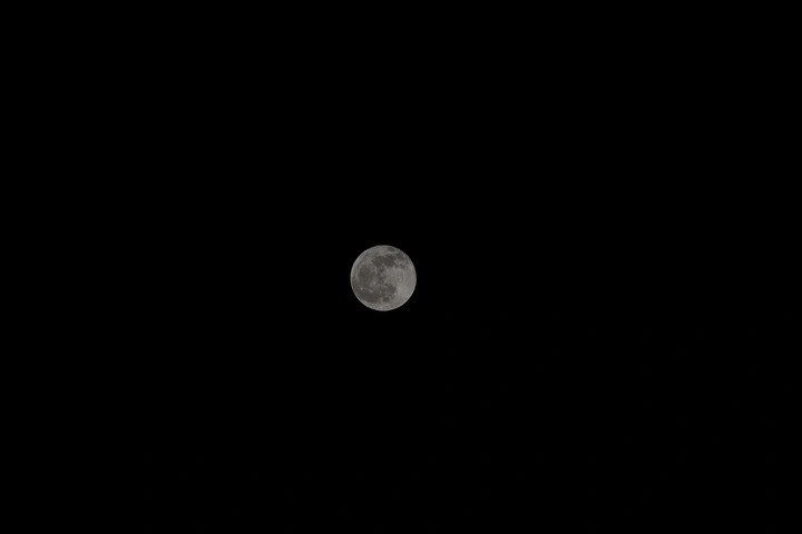 🌜