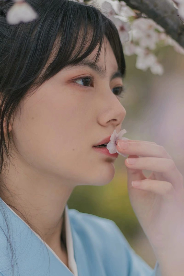 阴天的樱花和服