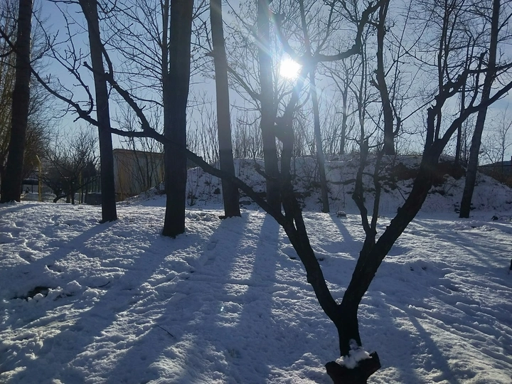 雪海