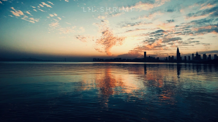 油画海湾