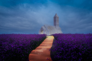 一片紫花丛中 天空中有一座钟楼。