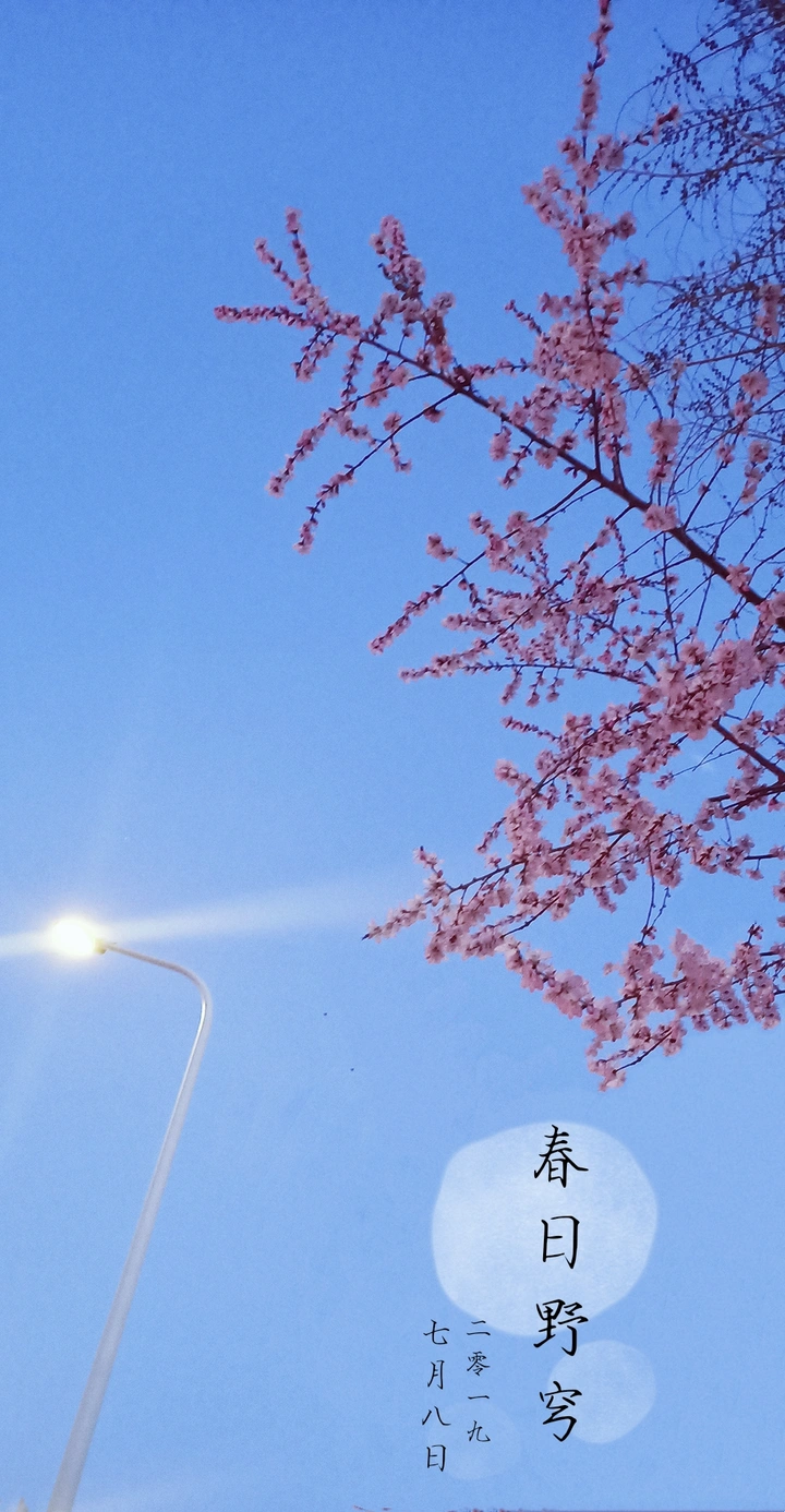 春日野穹