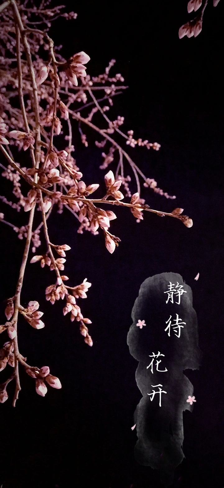 静待