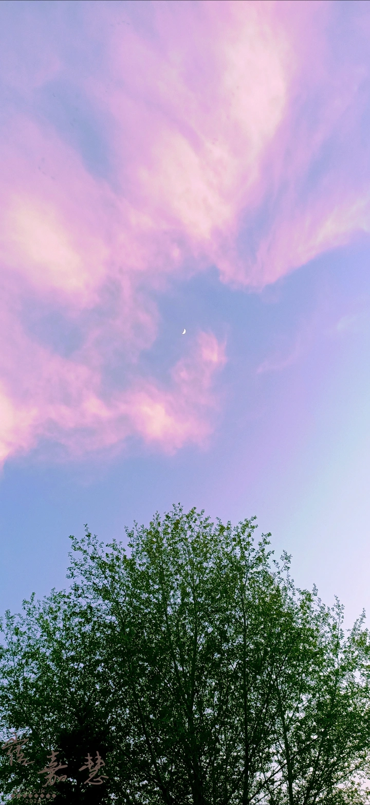 春光