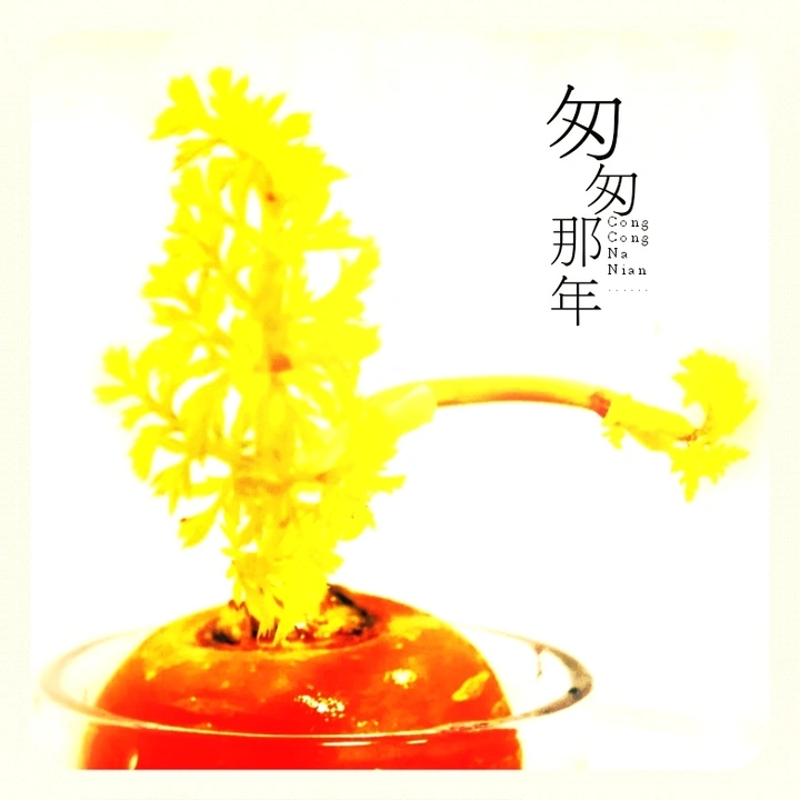 慢下来，就会在生活中发现各种美