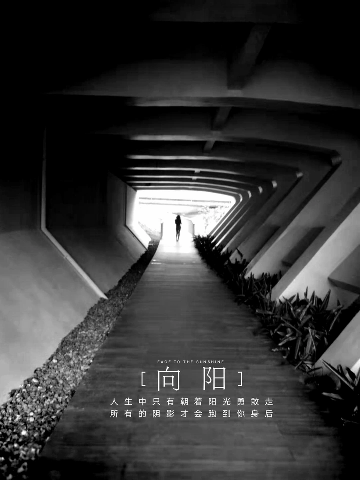 向光而生：《朝着阳光走，阴影就会在身后》