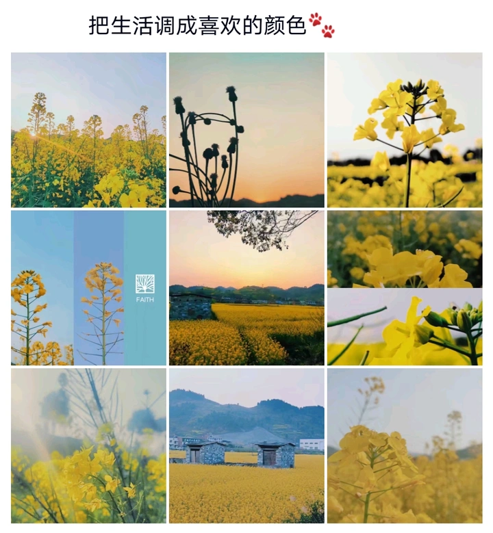 把生活调成自己喜欢的颜色?
