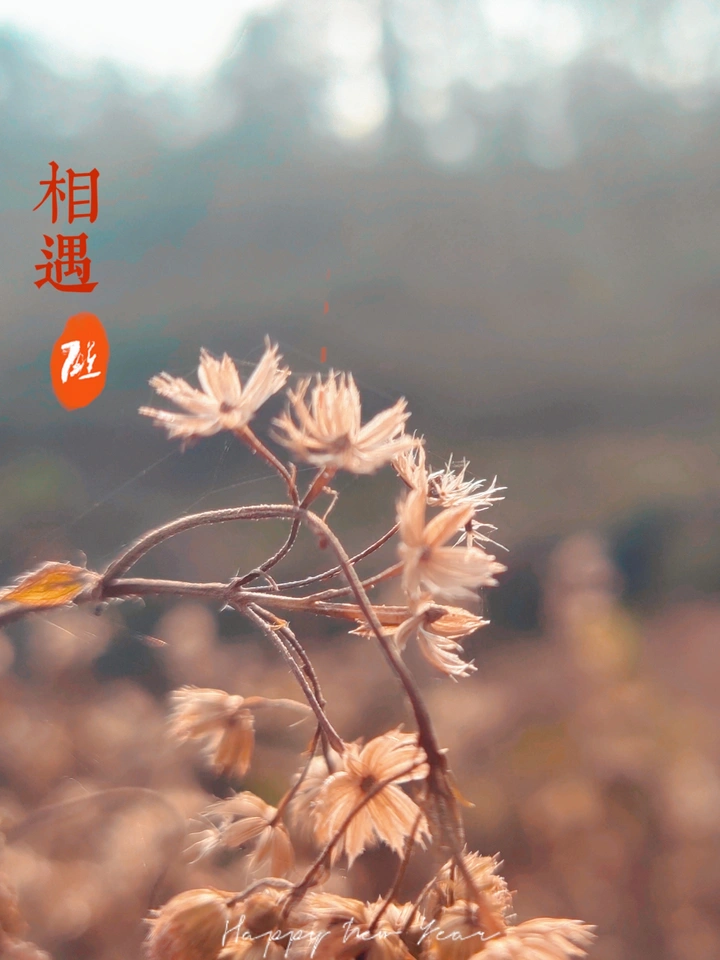 你好2022