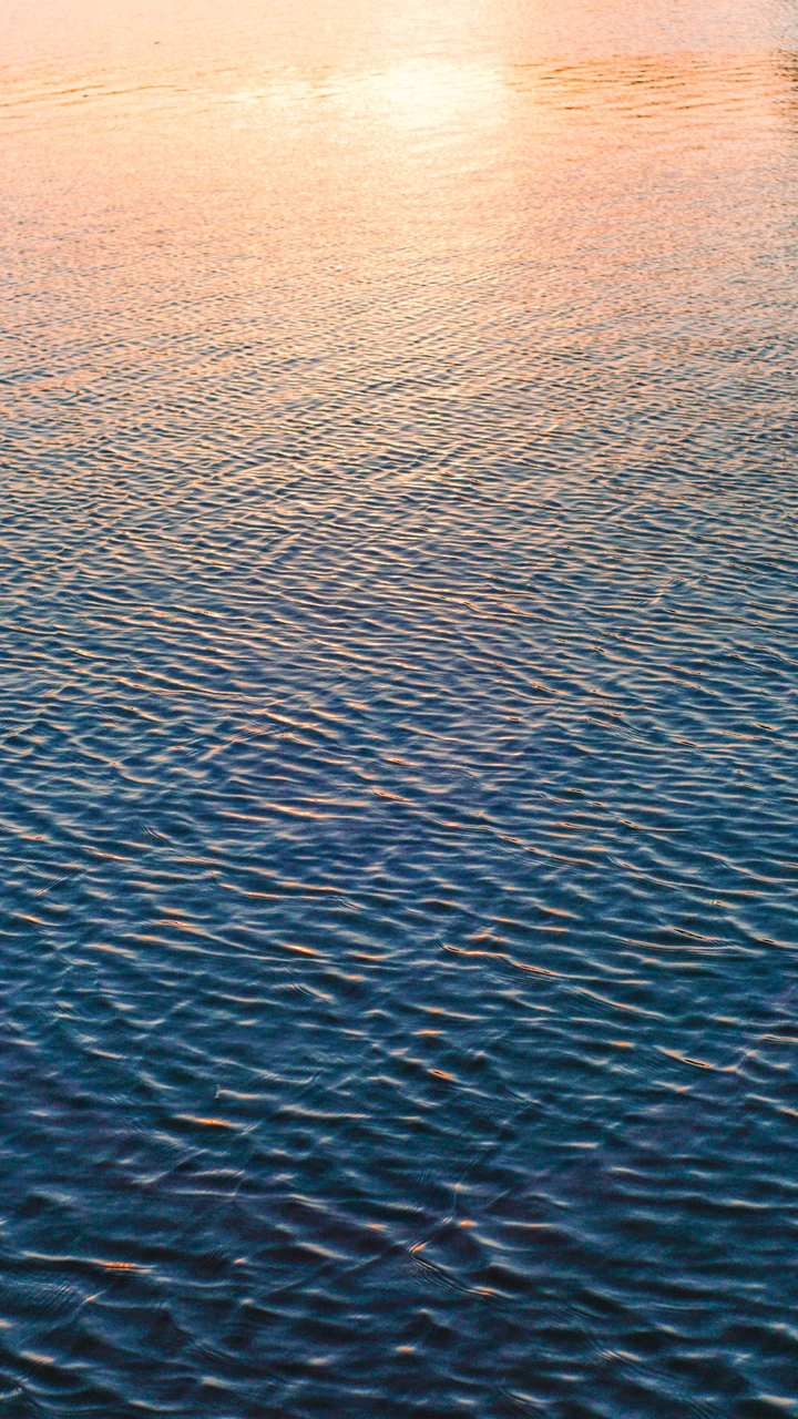 “落日余晖秋意浓”🍁