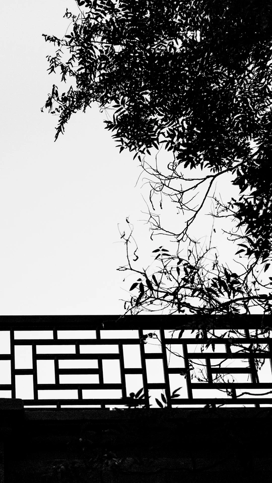 一张黑白照片 一个人站在长凳上 带着一把伞 一只鸟在空中飞翔。