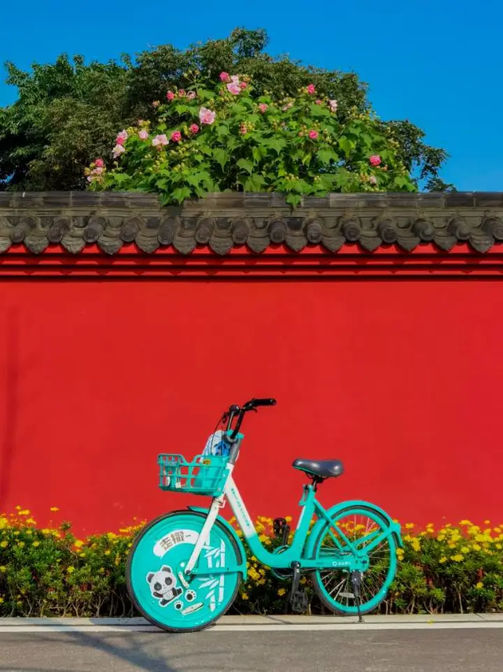 《走撒》