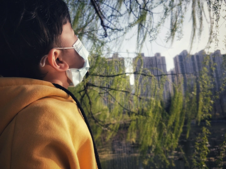 等春来，等花开🌸