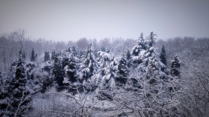 大雪