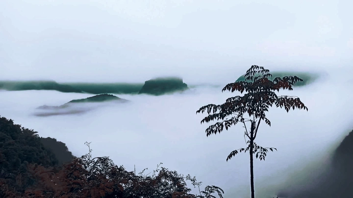 人终究是横看成岭侧成峰