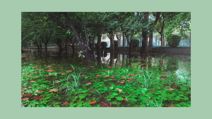 雨后校园