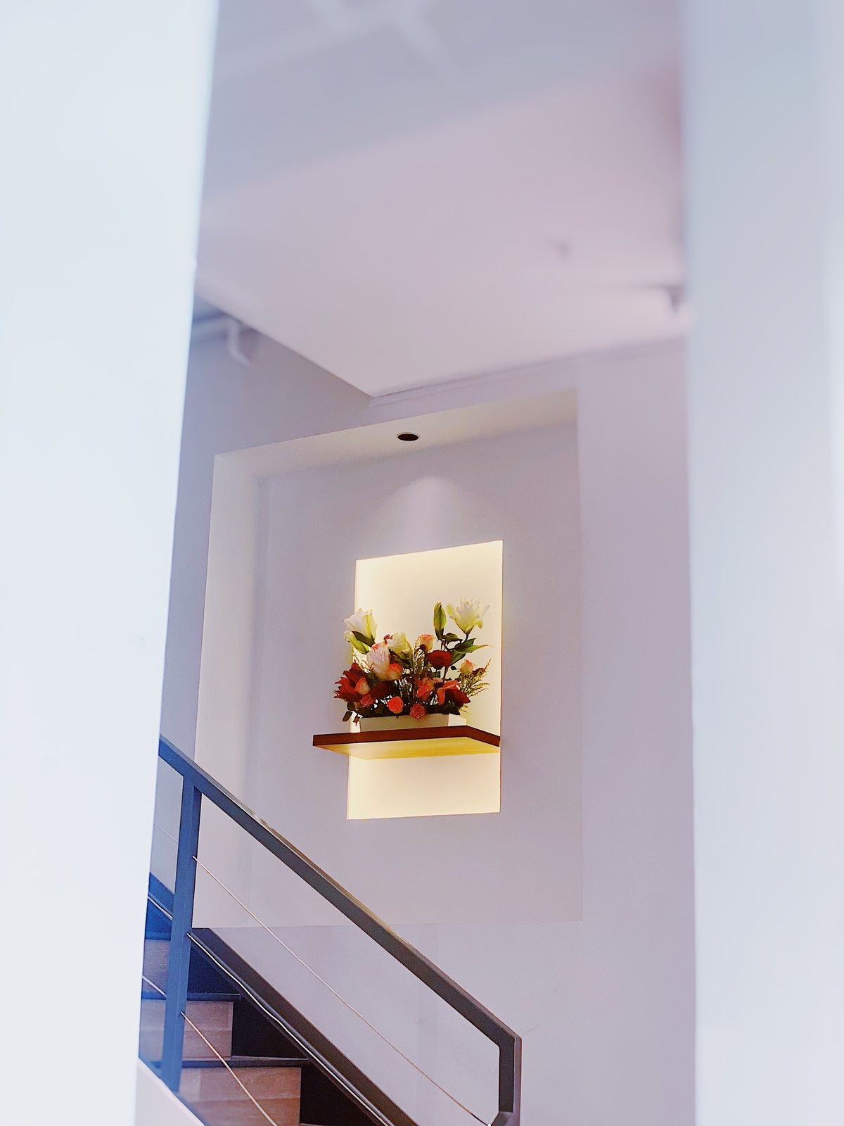 现代楼梯 白色墙壁 地板上有一盆植物