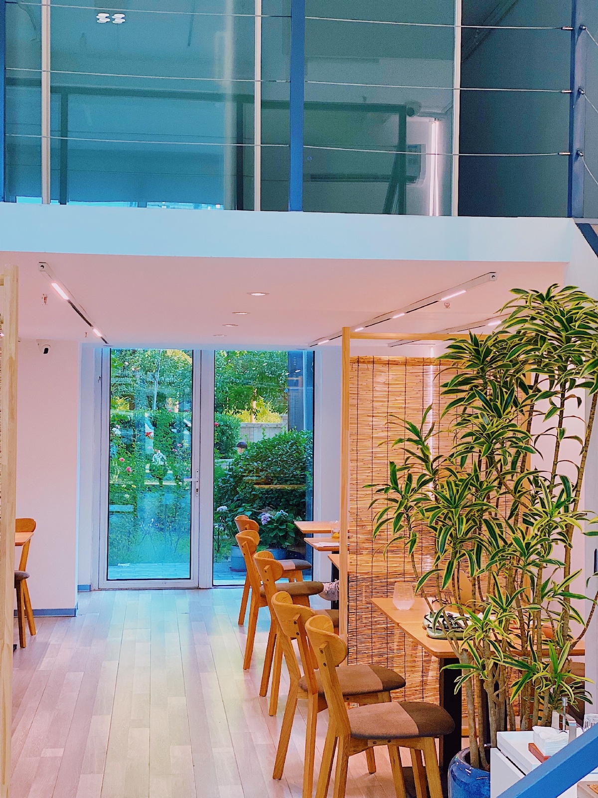 一个现代化的餐厅 配有桌子和椅子 以及一盆植物 位于一所房子的底层。
