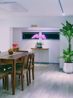 一个现代化的房间 配有大型白色厨房和带木质桌椅的用餐区
