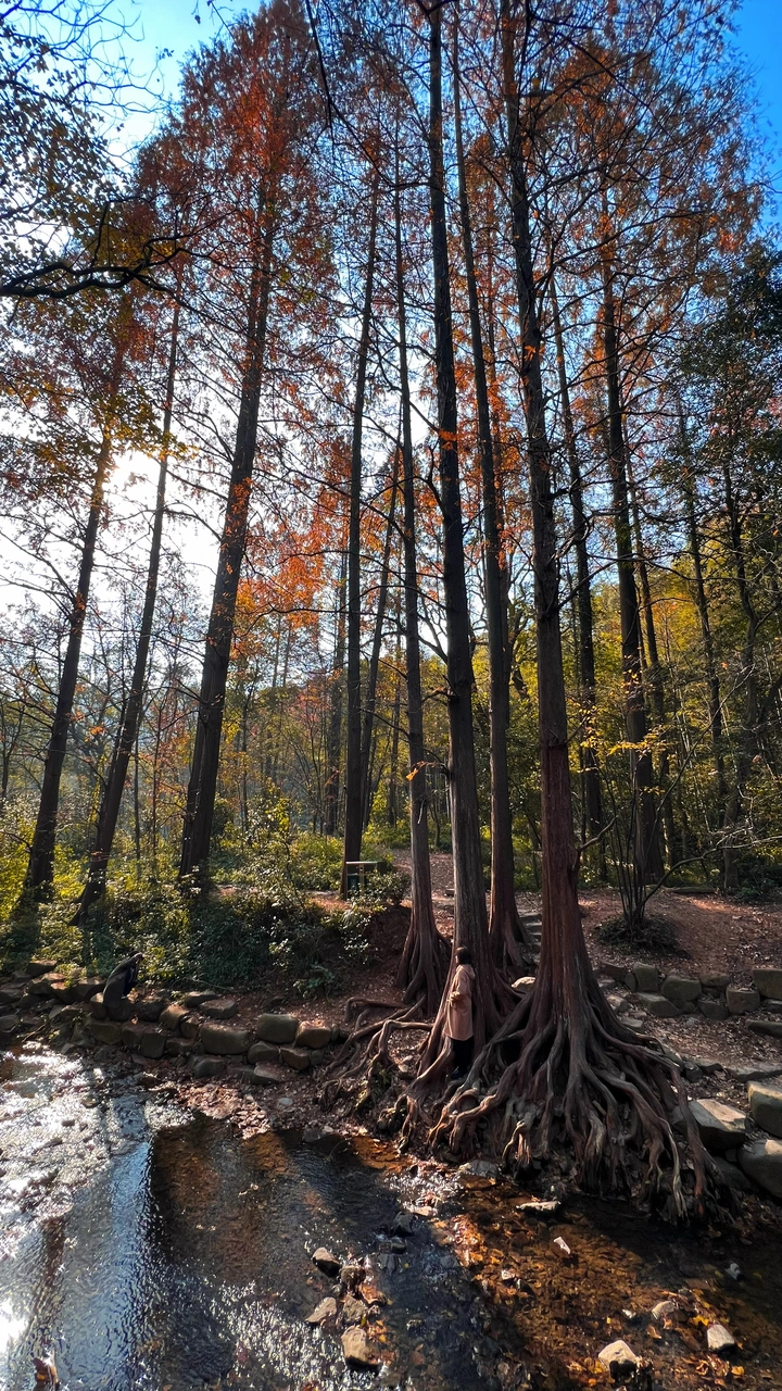 九溪的温柔