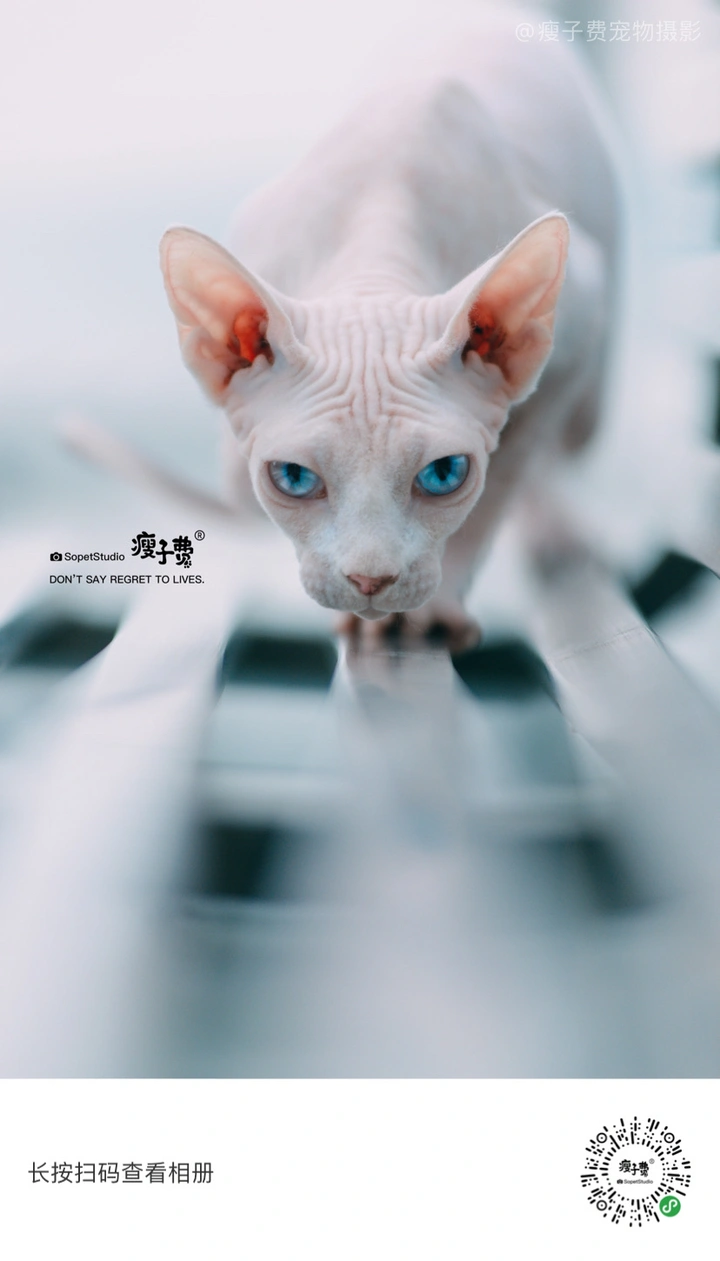「无锡站」
