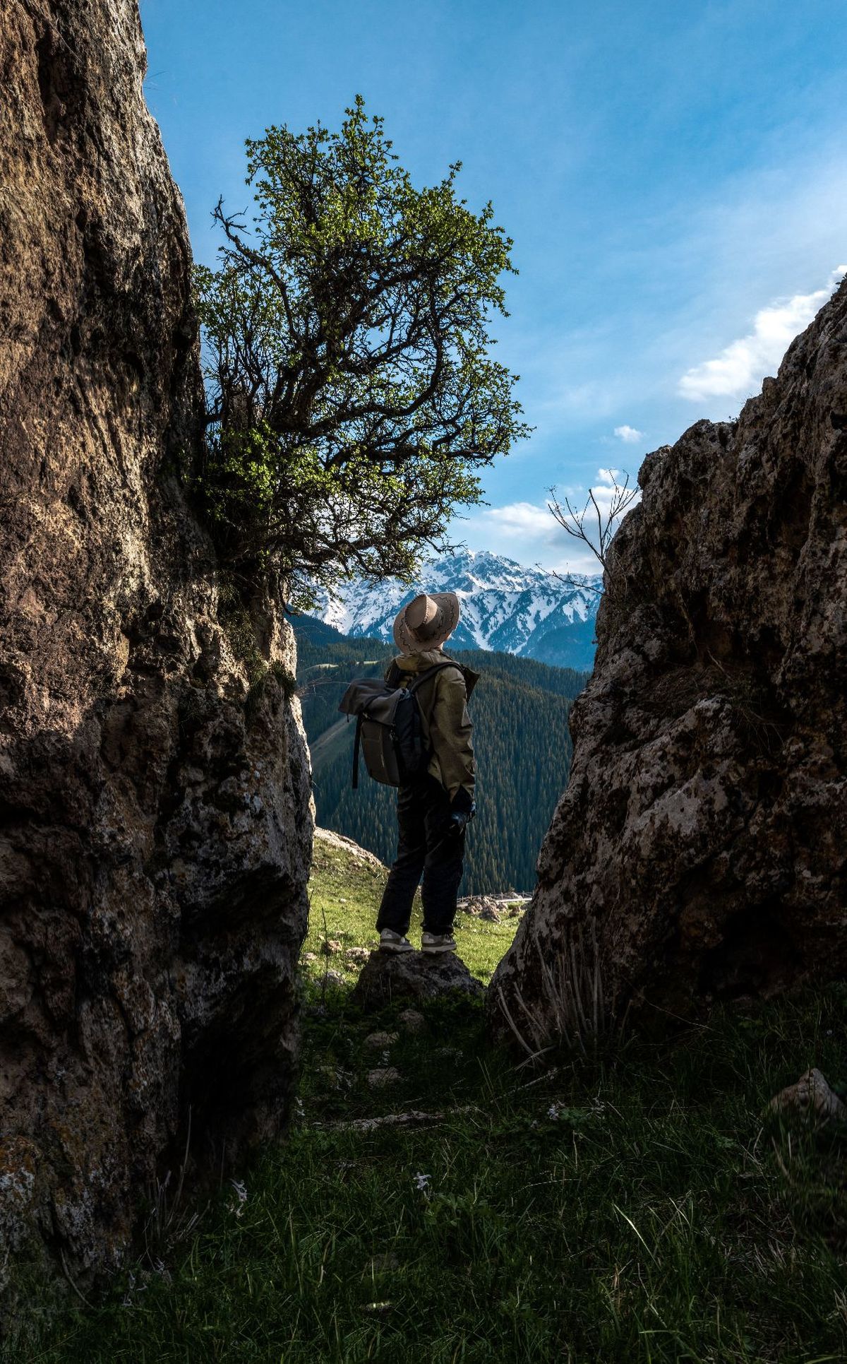 站在岩石上的徒步者正在山上观察一棵树