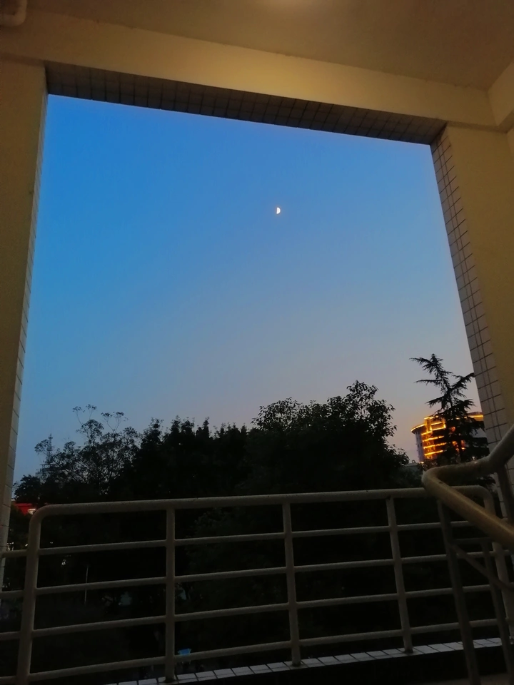校园