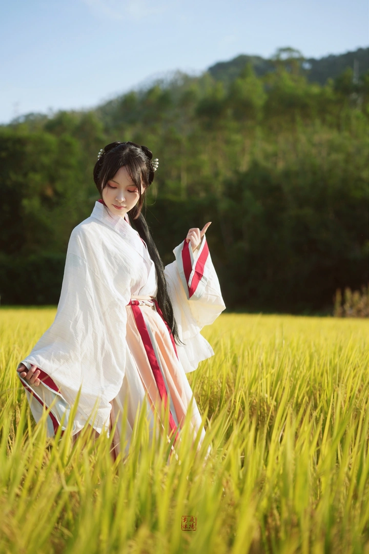 稻香