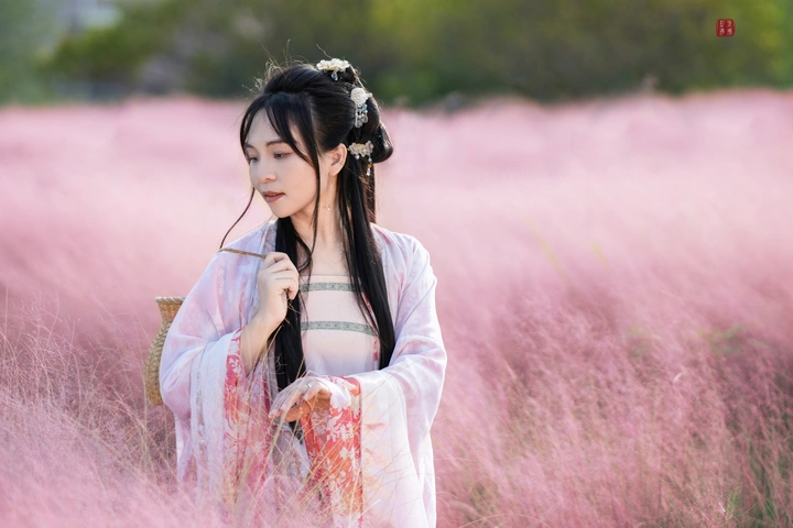 粉黛古风人像