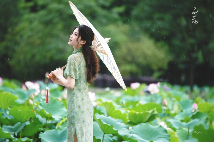 雨荷