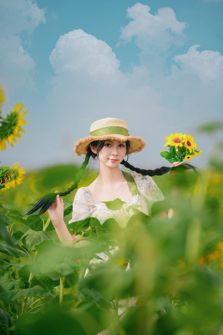 夏日. 向日葵