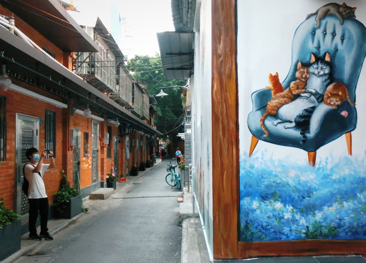 一条带有蓝色壁画涂鸦的巷子 街上有女人和猫。