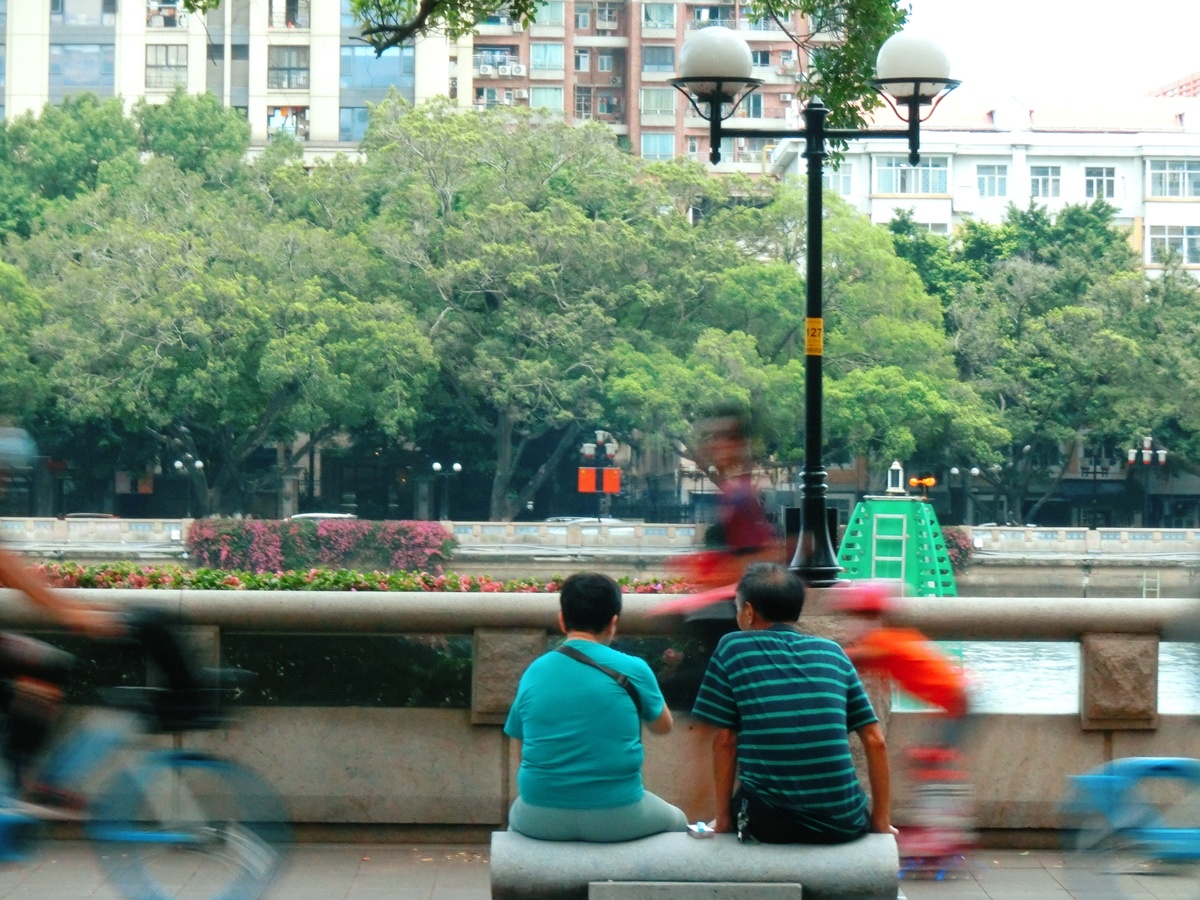 公园里的人们坐在长凳上 河边的一个人正在骑自行车。