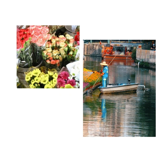 船在水面上的图片