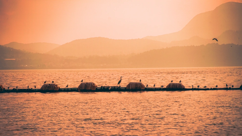 日落时分的广阔水面 人们在一艘船上 飞鸟在水面和远处的山脉上飞翔。