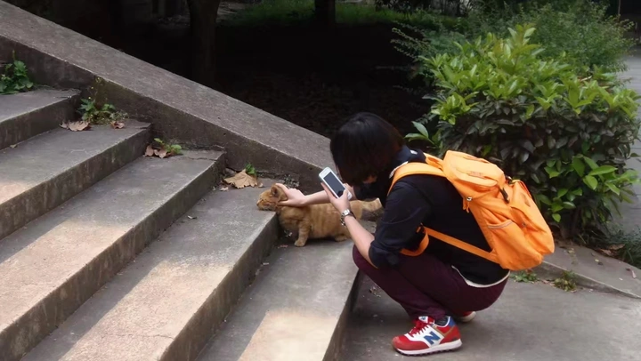 抓拍