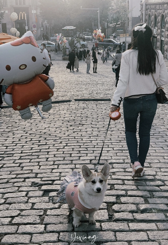 一位女士牵着一只小狗在石子路上散步