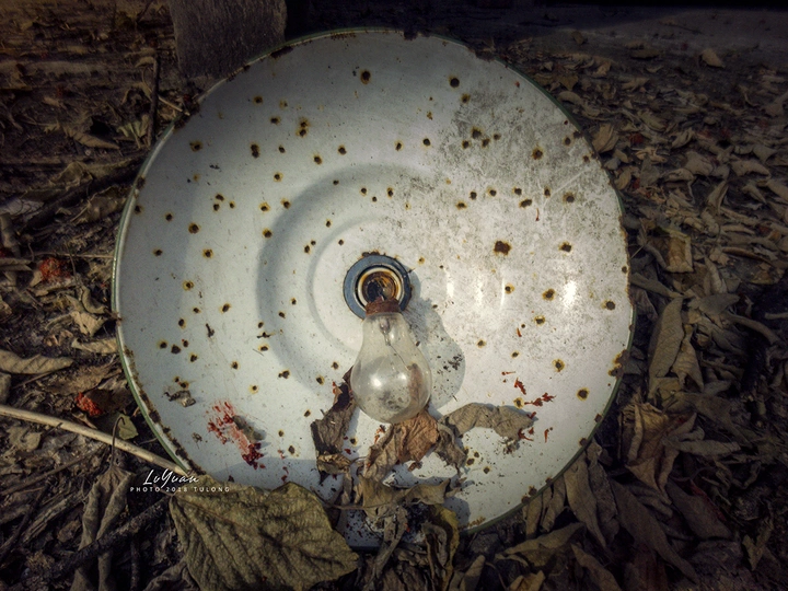 一灯