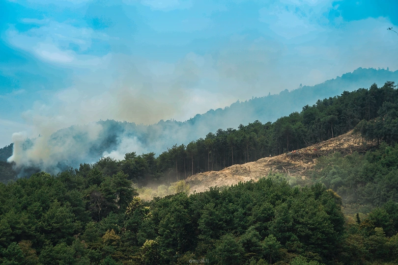 从山上的森林升起的烟云