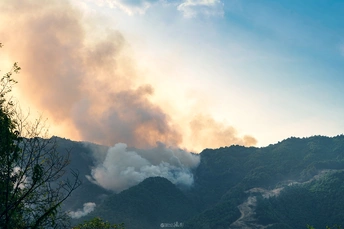 一团烟雾在树林上空升起