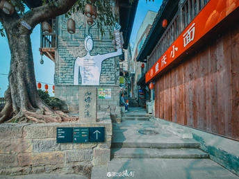 一棵树从一栋建筑物的墙壁上生长出来