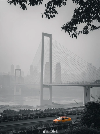 雾中行驶在河上的橙色汽车