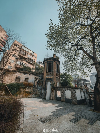 城市中的一座老建筑 前景中有棵树。