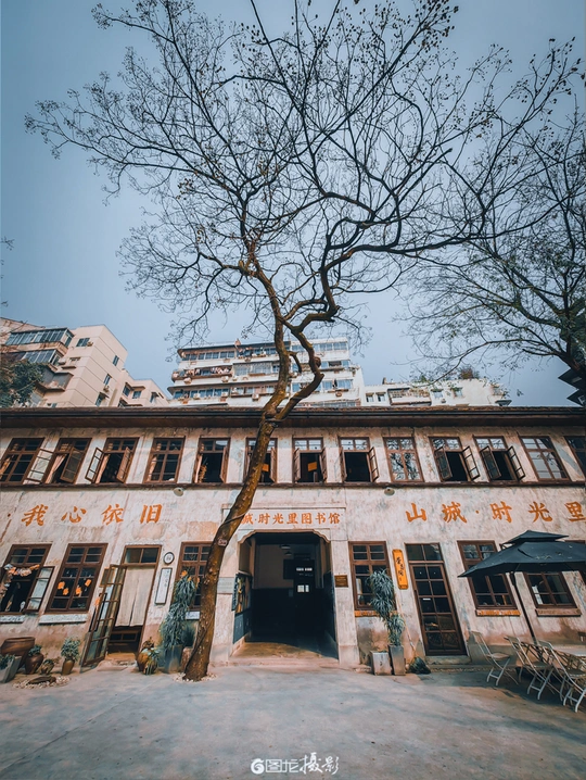 前面有棵树的建筑