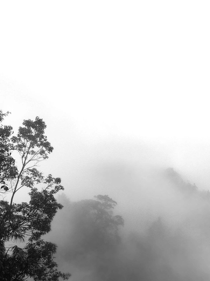 大山深处