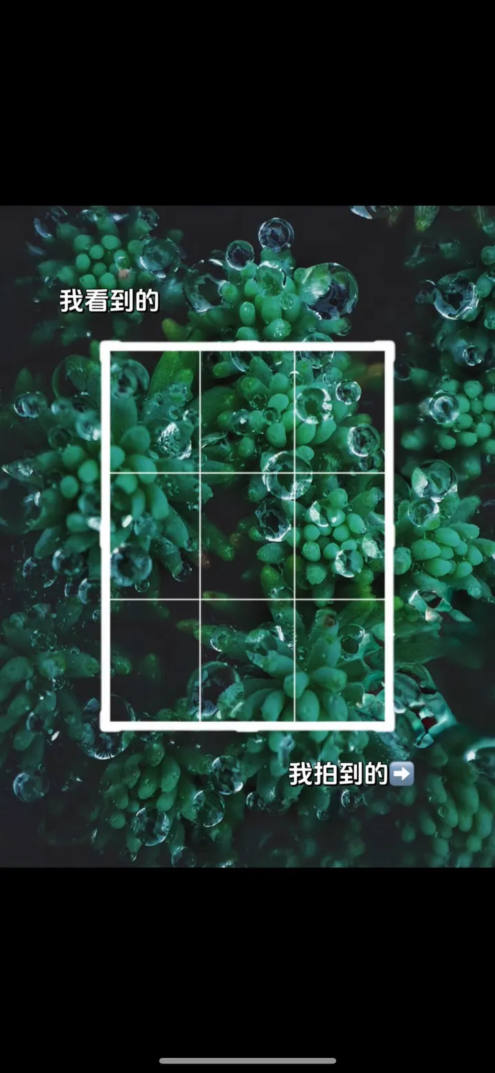摄影笔记｜我看到的VS我拍到的