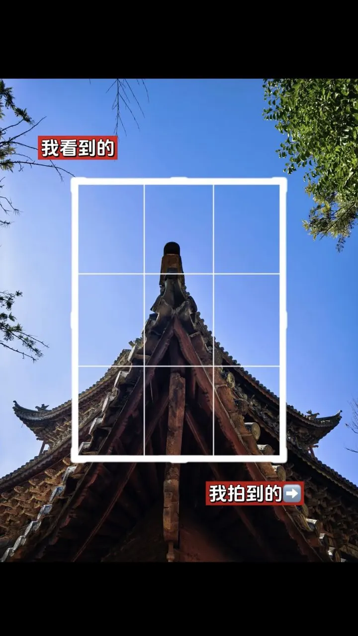 手机摄影笔记｜我看到的VS我拍到的