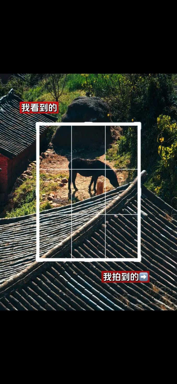 手机摄影笔记｜我看到的VS我拍到的