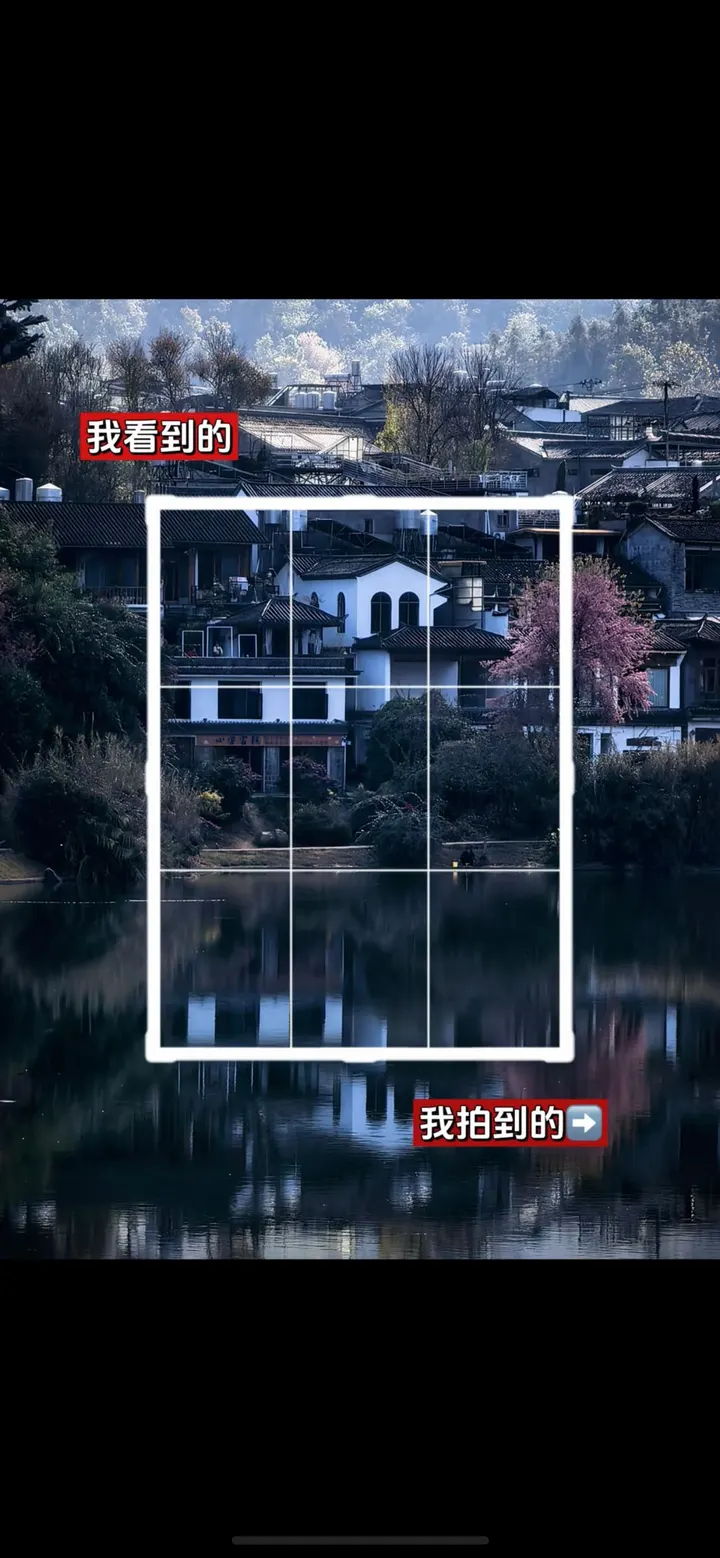 手机摄影笔记｜我看到的VS我拍到的